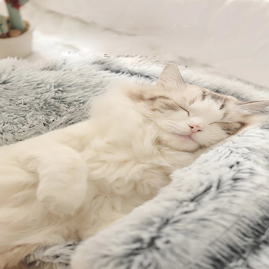 Plush Hooded Pet Bed Round Fluffy Soft Cat Bed Pet Cushion Warm Cat Dog 2 in 1 Sleeping Nest Cave for Small Dogs