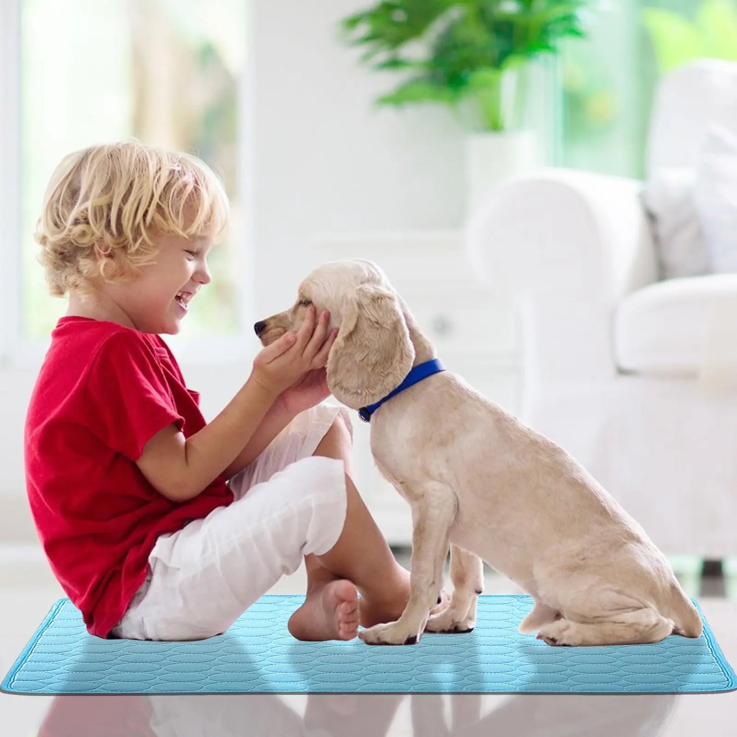 NEW Pet Cooling Mat Summer Cat and Dog Sofa Mat Soft Ice Silk Cold Feeling Nest Mat Summer Dog Cooling Mat Pet Products Dog Beds